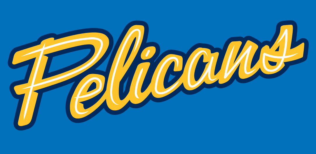 Myrtle Beach Pelicans 2007-Pres Jersey Logo iron on transfers for clothing